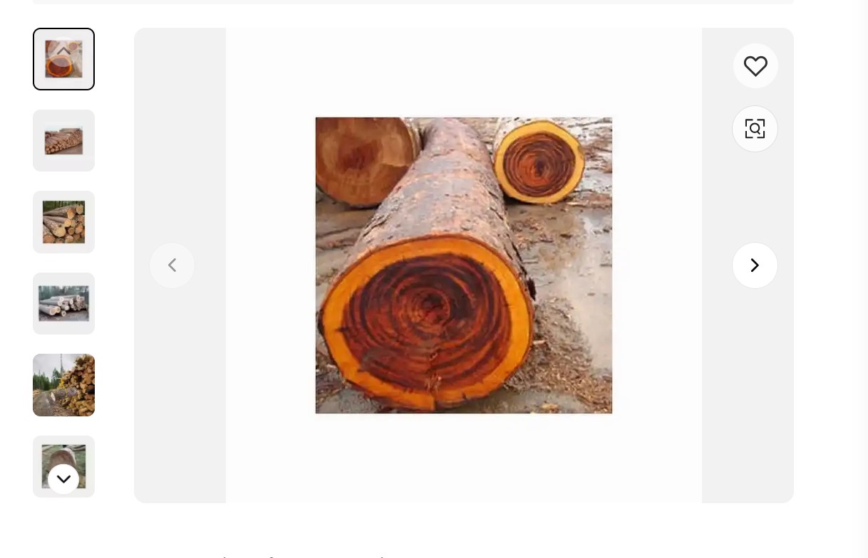 Screenshot 2024-11-27 044302