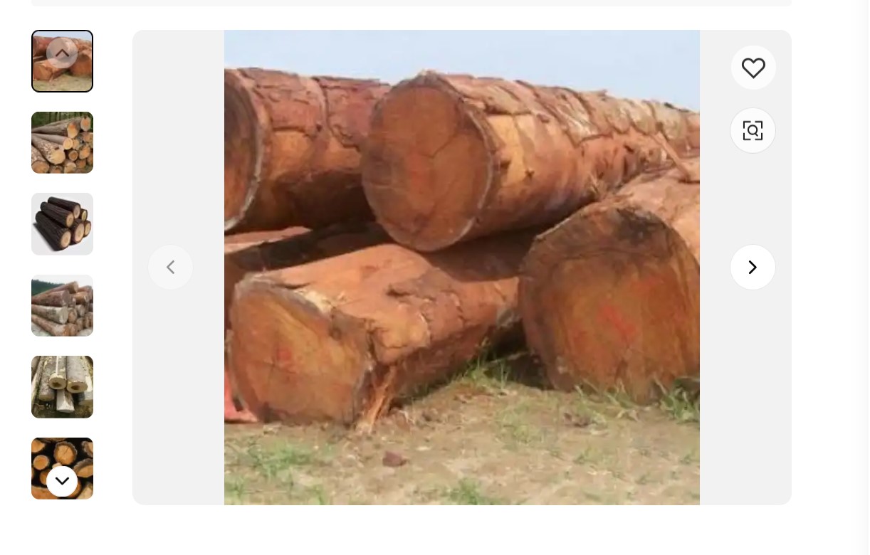 Screenshot 2024-11-27 045501