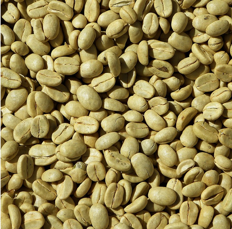 green coffee beans33